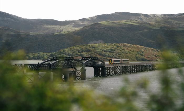 A train on a bridge passing over an estuary